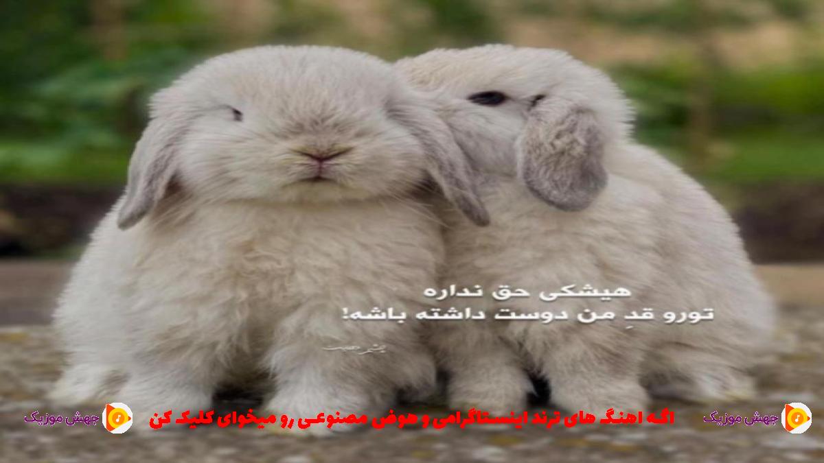 دانلود آهنگ چرا باز منو با اون چشات روبرو میکنی از معین و مهستی و هایده